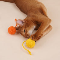 HKM-0014013 Interactive Cat Teaser Stick with Bite-Resistant Catnip Ball for Playful Kittens