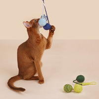 HKM-0014013 Interactive Cat Teaser Stick with Bite-Resistant Catnip Ball for Playful Kittens