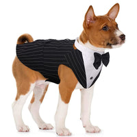 HKM-0014909 Dog Triangular Binder Vest with Triangle Scarf - Stylish Pet Apparel in Black for All Sizes