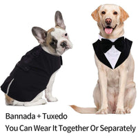 HKM-0014909 Dog Triangular Binder Vest with Triangle Scarf - Stylish Pet Apparel in Black for All Sizes
