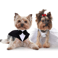 HKM-0014909 Dog Triangular Binder Vest with Triangle Scarf - Stylish Pet Apparel in Black for All Sizes