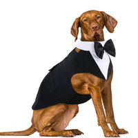 HKM-0014909 Dog Triangular Binder Vest with Triangle Scarf - Stylish Pet Apparel in Black for All Sizes