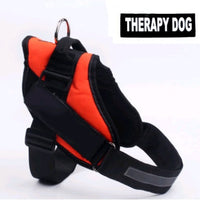 HKM-0021565 Adjustable Leather Dog Chest Harness and Leash Set for Large Breeds