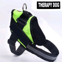 HKM-0021565 Adjustable Leather Dog Chest Harness and Leash Set for Large Breeds