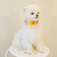 HKM-0024253 Cute Cartoon Soft Polyester Pet Collar in Yellow, Green, and Camel - Sizes S & M Available