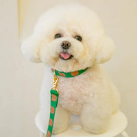 HKM-0024253 Cute Cartoon Soft Polyester Pet Collar in Yellow, Green, and Camel - Sizes S & M Available