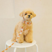 HKM-0024253 Cute Cartoon Soft Polyester Pet Collar in Yellow, Green, and Camel - Sizes S & M Available