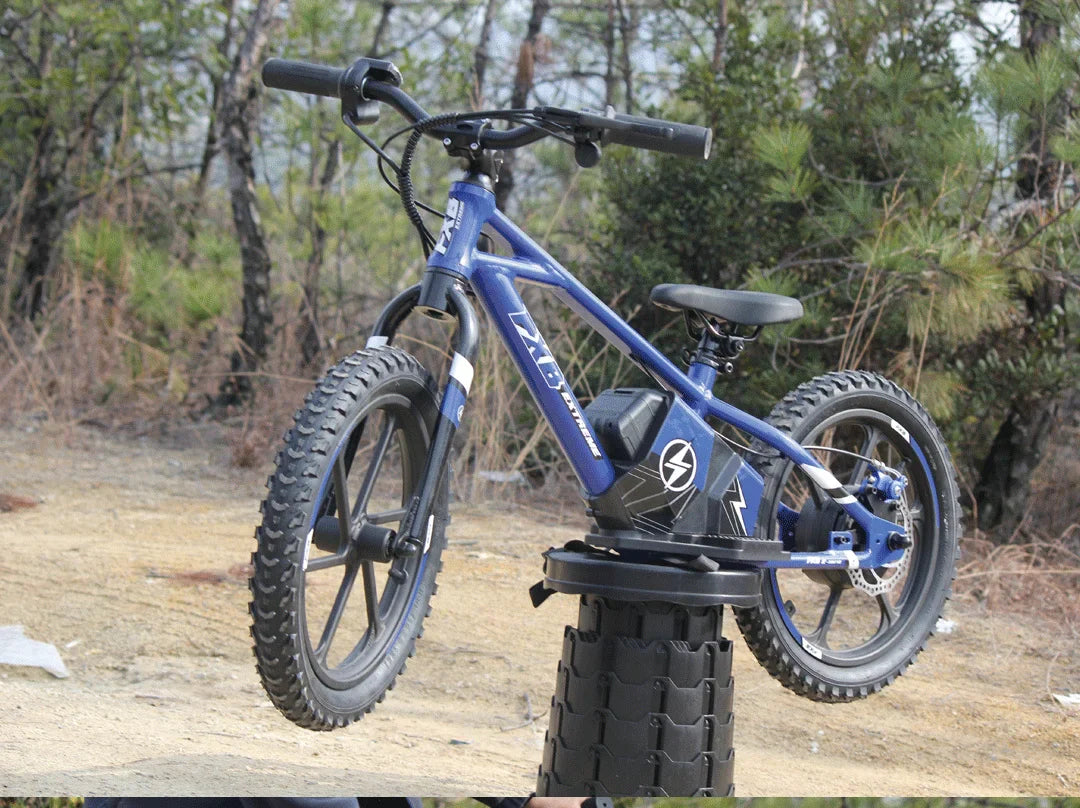 HKM-002515 Kids Electric Balance Bike with 350W Brushless Motor, 12-Inch & 16-Inch Options, Adjustable Suspension, and Disc Brakes