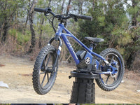 HKM-002515 Kids Electric Balance Bike with 350W Brushless Motor, 12-Inch & 16-Inch Options, Adjustable Suspension, and Disc Brakes