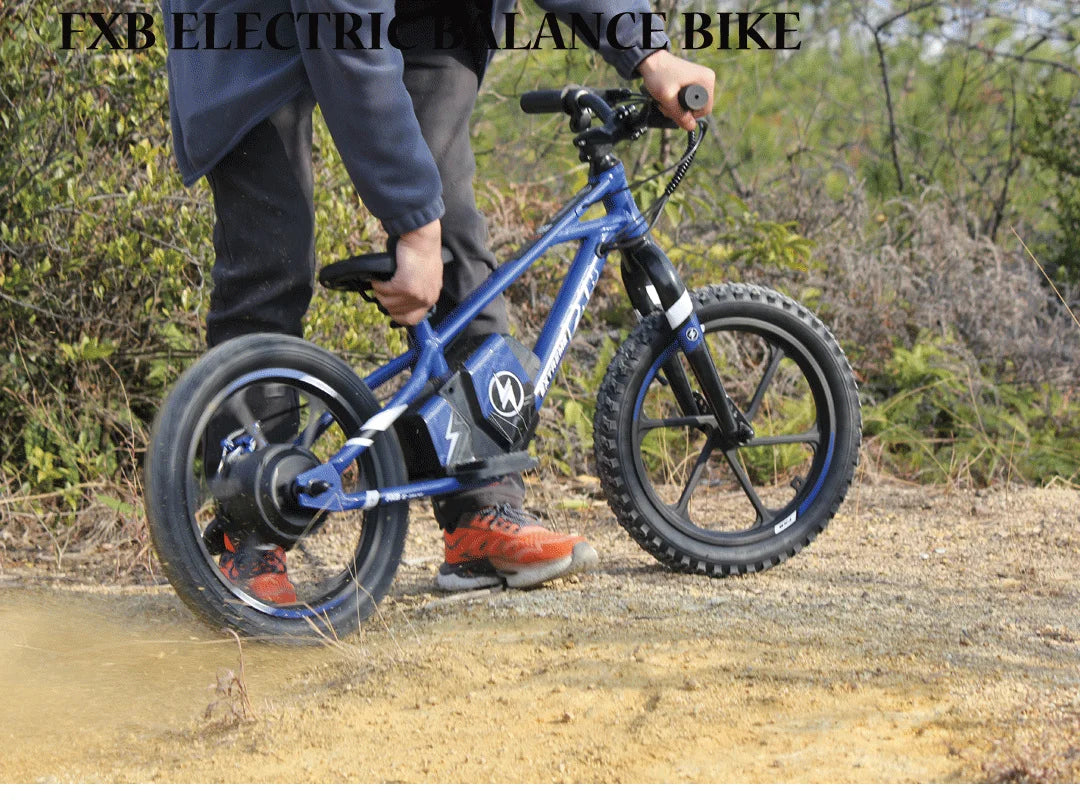 HKM-002515 Kids Electric Balance Bike with 350W Brushless Motor, 12-Inch & 16-Inch Options, Adjustable Suspension, and Disc Brakes