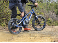 HKM-002515 Kids Electric Balance Bike with 350W Brushless Motor, 12-Inch & 16-Inch Options, Adjustable Suspension, and Disc Brakes