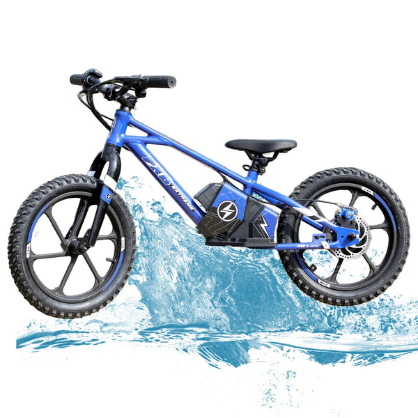 HKM-9610451 16-Inch Electric Balance Bike for Kids with 350W Brushless Hub Motor, Dual Speed Modes and Front and Rear Disc Brakes