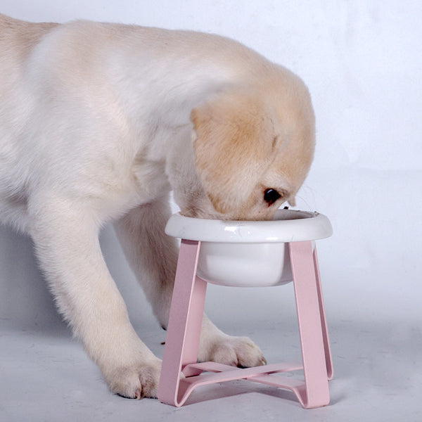 HKM-0033981 Elevated Antislip Cat Feeding Bowl with Iron Stand - 100% Porcelain Ceramic Pet Food and Water Feeder