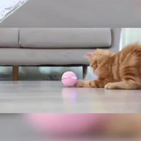 HKM-003859 Electric Cat Toy Toy Ball LED Feather Tease Cat Ball Cat Self Hi Tease Cat Stick USB Rechargeable Tease Cat Supplies