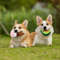 HKM-0043197 Durable Puppy Molar Toy in Avocado, Snail, and Ice Cream Designs – Soft Polar Fleece, Multi-Size Options