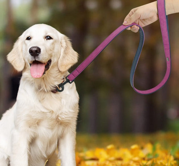 HKM-0043325 Pull-Resistant Leather Dog Leash - Available in Multiple Colors and Sizes
