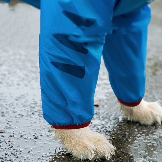 HKM-0044093 All-Weather Waterproof Rain Gear with Shark Design for Pets - Multiple Sizes Available