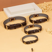 HKM-0045501 Durable PU Leather Cowboy Dog Collar for All Seasons