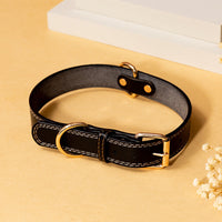 HKM-0045501 Durable PU Leather Cowboy Dog Collar for All Seasons