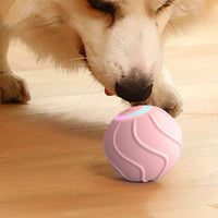 HKM-0046781 Automatic Bouncing Cat Ball Toy - Interactive Self-Moving Kitten Playball for Indoor Exercise and Cognitive Development