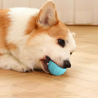 HKM-0046781 Automatic Bouncing Cat Ball Toy - Interactive Self-Moving Kitten Playball for Indoor Exercise and Cognitive Development