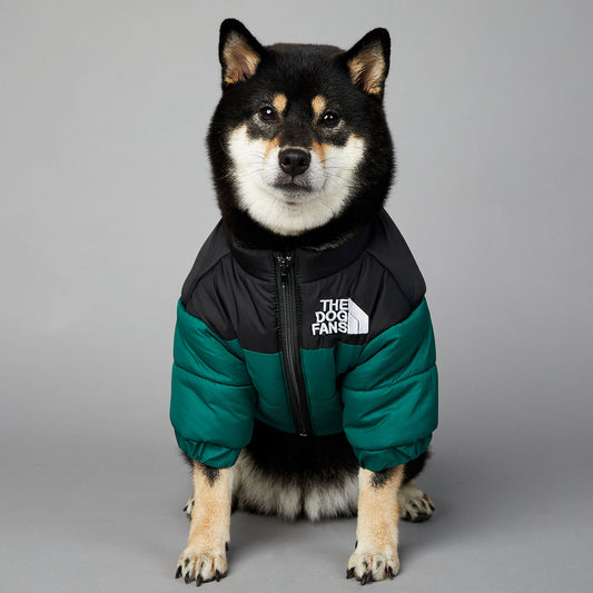 HKM-0048957 Windproof and Rainproof Winter Pet Cotton-Padded Jacket for Dogs in Various Colors and Sizes