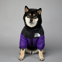 HKM-0048957 Windproof and Rainproof Winter Pet Cotton-Padded Jacket for Dogs in Various Colors and Sizes