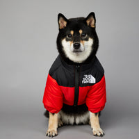 HKM-0048957 Windproof and Rainproof Winter Pet Cotton-Padded Jacket for Dogs in Various Colors and Sizes