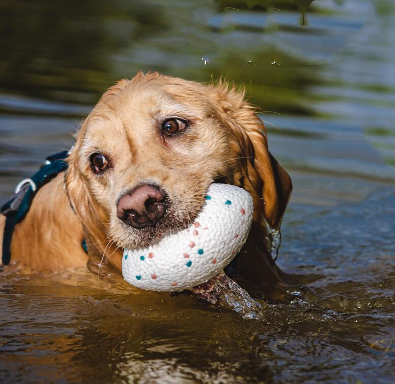HKM-005011 Teeth-resistant Pet Dog Chewing Toy Football