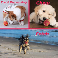 HKM-0052541 Interactive Teething Chew Toy for Small Dogs - Treat Dispensing Egg-Shaped Ball
