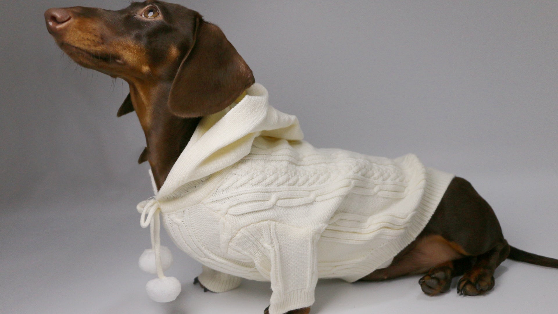 HKM-0053821 Hooded Sweater for Dogs - Warm Two-leg Design in Sky Blue or Beige, Sizes XS-XL
