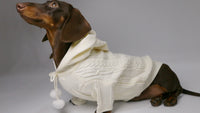 HKM-0053821 Hooded Sweater for Dogs - Warm Two-leg Design in Sky Blue or Beige, Sizes XS-XL