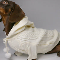 HKM-0053821 Hooded Sweater for Dogs - Warm Two-leg Design in Sky Blue or Beige, Sizes XS-XL
