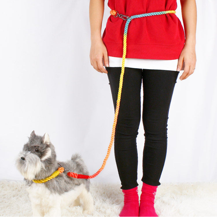 HKM-0054845 Multifunctional Braided Double-Ended Dog Leash for Active Walking