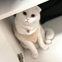 HKM-0057661 Internet Celebrity Cat Themed Pearl Necklace in Various Colors and Sizes