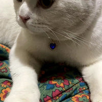 HKM-0057661 Internet Celebrity Cat Themed Pearl Necklace in Various Colors and Sizes