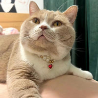 HKM-0057661 Internet Celebrity Cat Themed Pearl Necklace in Various Colors and Sizes