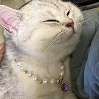 HKM-0057661 Internet Celebrity Cat Themed Pearl Necklace in Various Colors and Sizes