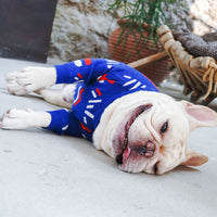 HKM-0059197 Wool Pug Sweater for Dogs - Cozy European and American Style Clothing