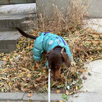 HKM-0060605 Thermal Cotton-Padded Pet Clothing for Autumn and Winter – Sizes S to XXL