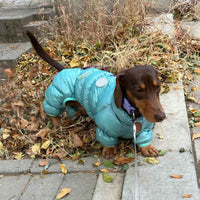 HKM-0060605 Thermal Cotton-Padded Pet Clothing for Autumn and Winter – Sizes S to XXL