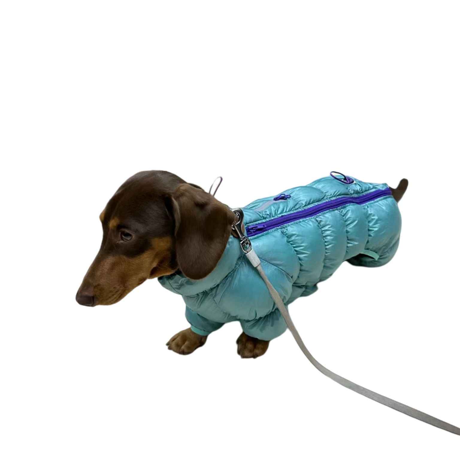 HKM-0060605 Thermal Cotton-Padded Pet Clothing for Autumn and Winter – Sizes S to XXL
