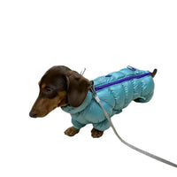 HKM-0060605 Thermal Cotton-Padded Pet Clothing for Autumn and Winter – Sizes S to XXL