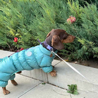 HKM-0060605 Thermal Cotton-Padded Pet Clothing for Autumn and Winter – Sizes S to XXL