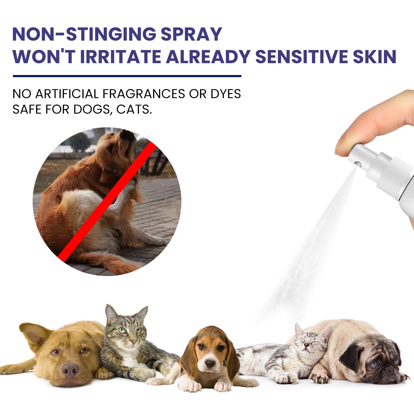 HKM-0062653 Pet Anti-Itching Spray for Cleansing and Soothing Skin - 118.56ml