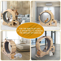 HKM-0066237 Indoor Cat Exercise Wheel - 6-in-1 Sports Device for Active Cats, Heavy-Duty Wood Design, Smooth Silent Operation, Safe for Pets