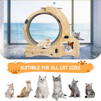 HKM-0066237 Indoor Cat Exercise Wheel - 6-in-1 Sports Device for Active Cats, Heavy-Duty Wood Design, Smooth Silent Operation, Safe for Pets