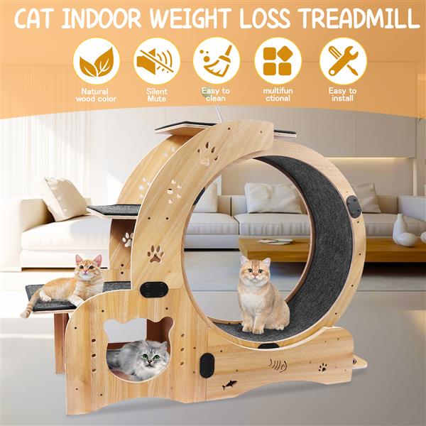 HKM-0066237 Indoor Cat Exercise Wheel - 6-in-1 Sports Device for Active Cats, Heavy-Duty Wood Design, Smooth Silent Operation, Safe for Pets