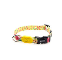 HKM-0068541 Colorful Adjustable Dog Collar for Small, Medium, and Large Dogs - Durable Design with Varying Widths