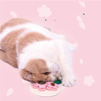 HKM-0069181 Sakura Fruit Cat Teething Stick Toy for Kittens - Natural Loofah & Catnip